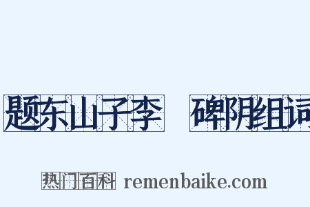 题东山子李適碑阴组词是什么意思的图片